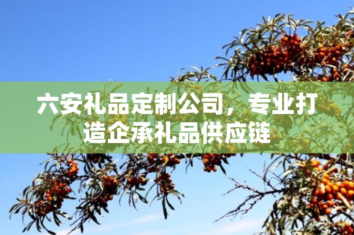 六安礼品定制公司，专业打造企承礼品供应链