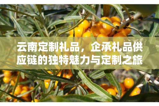 云南定制礼品，企承礼品供应链的独特魅力与定制之旅