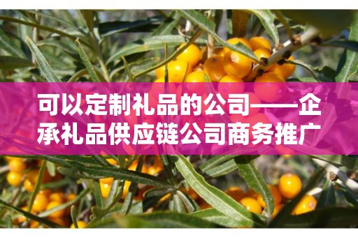 可以定制礼品的公司——企承礼品供应链公司商务推广