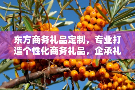 东方商务礼品定制，专业打造个性化商务礼品，企承礼品供应链助力商务往来